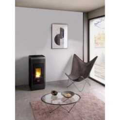 FreePoint Pelletofen Life 9 Stahl Schwarz-Titan 2,5 KW - 8,5 KW EEK: A+ 6 FreePoint Pelletofen Life 9 Stahl Schwarz-Titan 2,5 KW - 8,5 KW EEK: A+ -HeizTraum 8053859014904 1009 AB 01